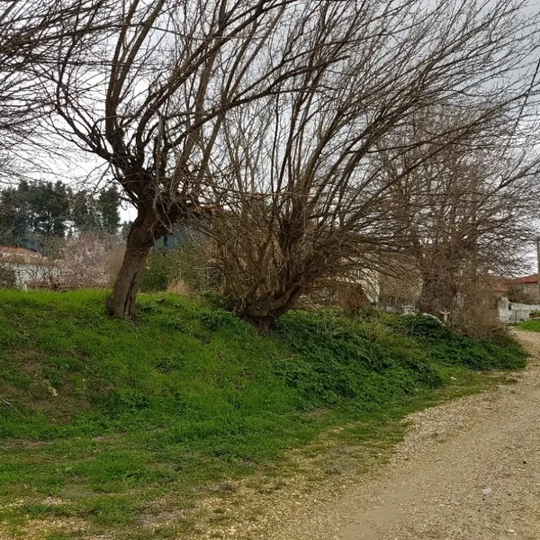 Земельный участок в Kassandra Municipality, фото 1