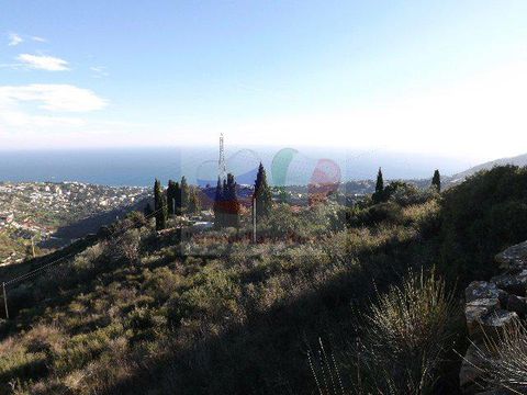 Земельный участок в Сан-Ремо