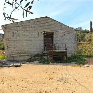 Земельный участок в Corfu, фото 2