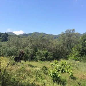 Земельный участок в Corfu, фото 5