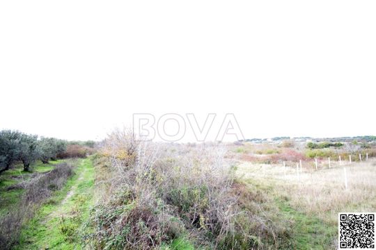 Земельный участок в Задар