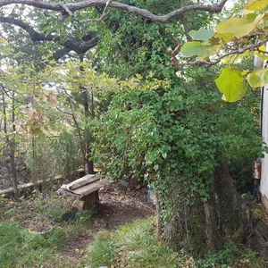 Дом в Сутоморе, фото 2