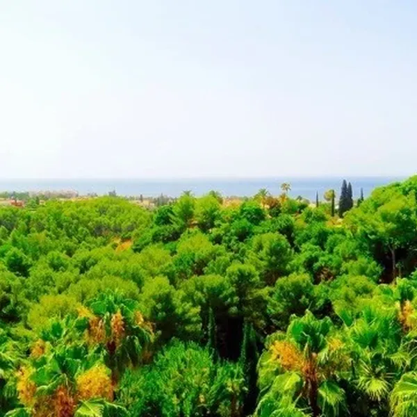 Квартира в Малага, фото 1