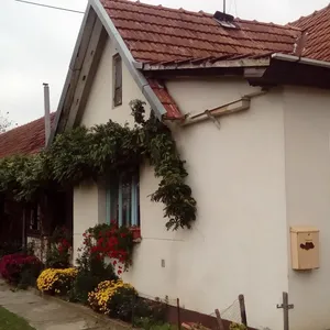 Ферма в Питомача, фото 4