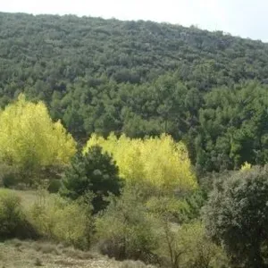Отдельный дом в Айора, фото 5