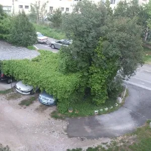 Квартира в Изола, фото 2