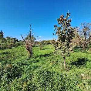 Земельный участок в Corfu, фото 4