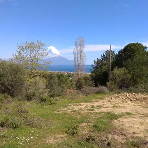 Земельный участок в Ситониа, фото 3
