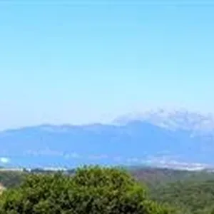 Земельный участок в Кавач, фото 5
