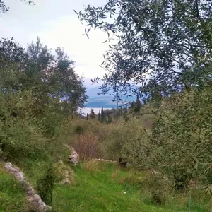Земельный участок в Corfu, фото 2