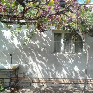 Дом в Василь Левски, фото 2