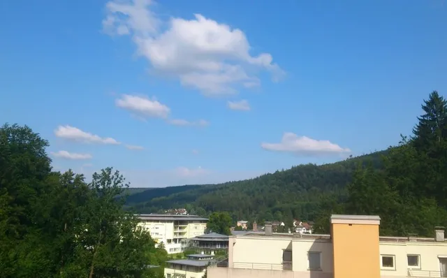 Квартира в Плохой дикий