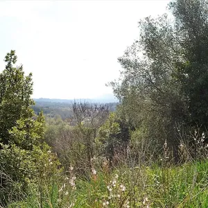 Земельный участок в Corfu, фото 4