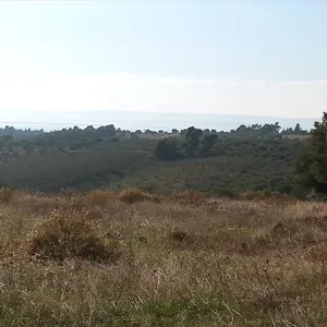 Земельный участок в Ситониа, фото 5
