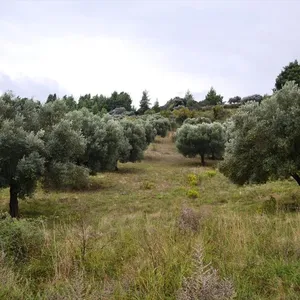 Земельный участок в Kassandra Municipality, фото 4