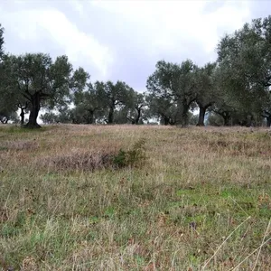 Земельный участок в Kassandra Municipality, фото 3