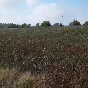 Земельный участок в Македония и Фракия, фото 2