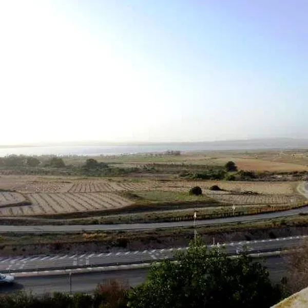 Пентхаус в Ла Мата, фото 1