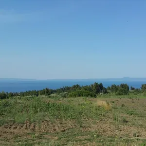 Земельный участок в Kassandra Municipality, фото 4