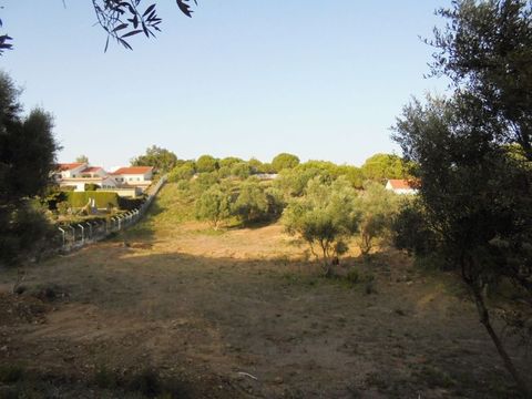 Земельный участок в Синтра