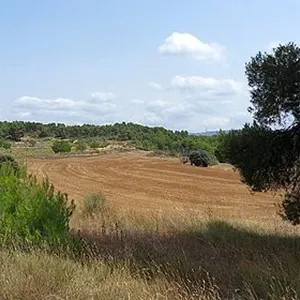 Земельный участок в Айора, фото 4