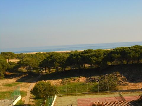 Квартира в Торревьеха