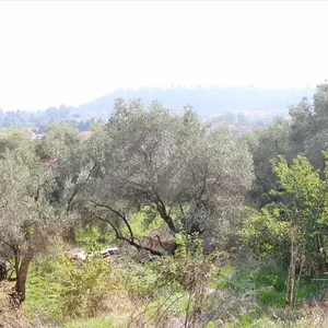 Земельный участок в Kassandra Municipality, фото 4