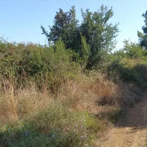 Земельный участок в Kassandra Municipality, фото 4