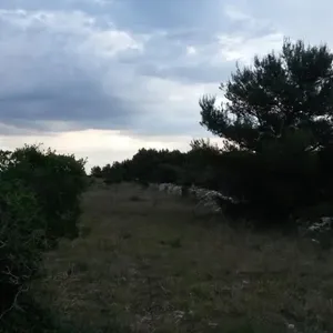 Земельный участок в Вир, фото 4