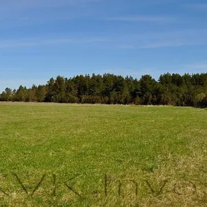Земельный участок в Таллинн, фото 3