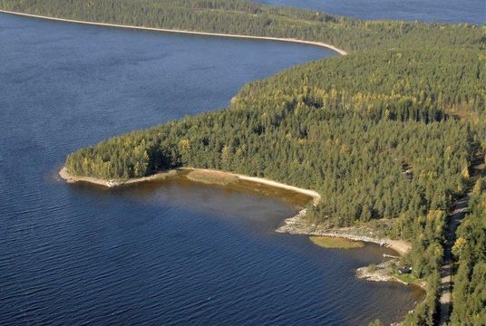 Земельный участок в Тайпалсари