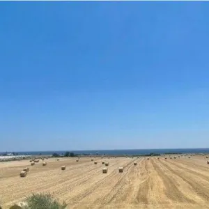 Вилла в Город Пафос, фото 4