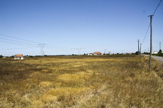 Земельный участок в Палмела