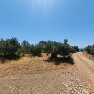 Земельный участок в Ситиа, фото 5