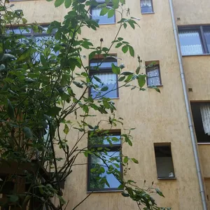 Доходный дом в Дуйсбург, фото 5