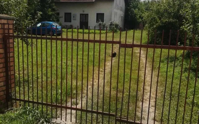 Дом в Белградский