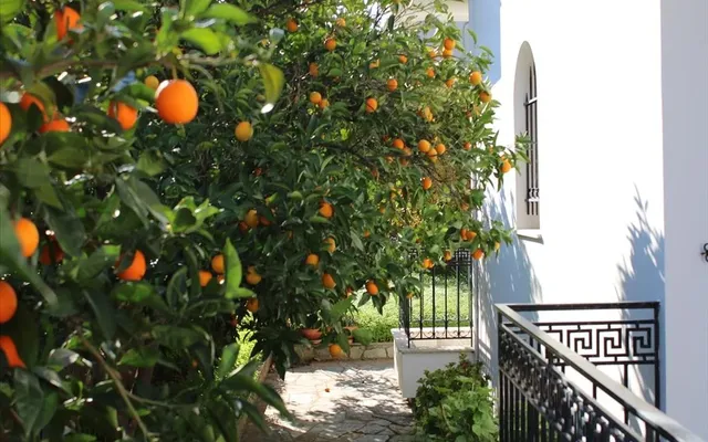 Отдельный дом в Loutraki - Perachora