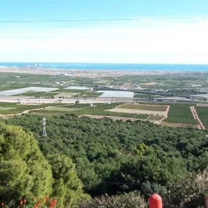 Вилла в Валенсия, фото 3