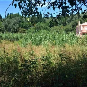 Земельный участок в Corfu, фото 2