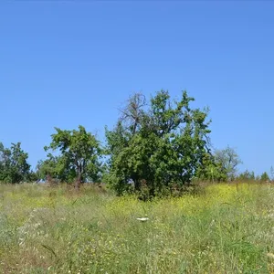 Земельный участок в Kassandra Municipality, фото 2