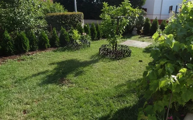 Дом в Ровинь