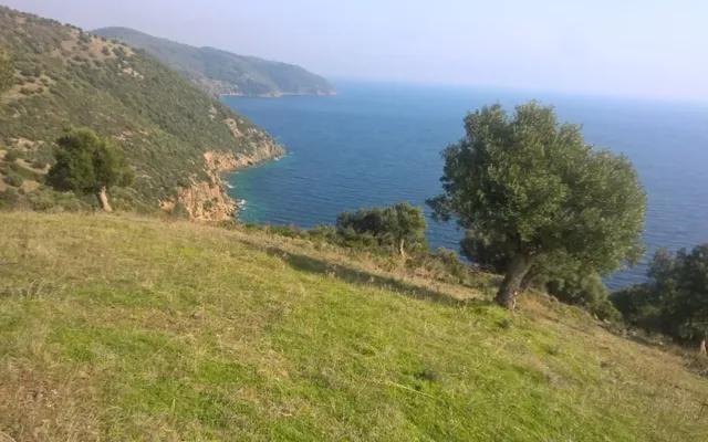 Земельный участок в Kassandra Municipality