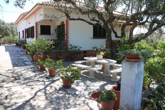 Ферма в Алкасер-ду-Сал