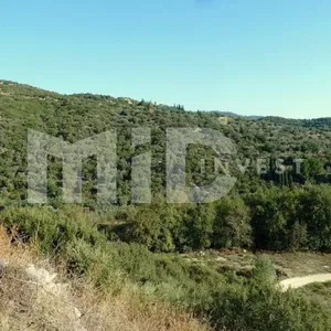 Земельный участок в Ситониа, фото 5