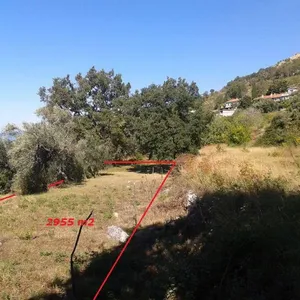 Земельный участок в Режевичи, фото 4