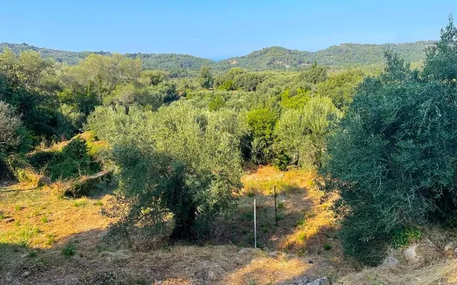 Земельный участок в Corfu