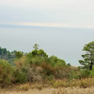 Земельный участок в Kassandra Municipality, фото 4