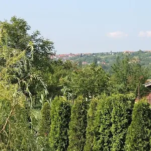 Отдельный дом в Хевиз, фото 4