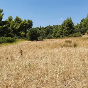 Земельный участок в Kassandra Municipality, фото 5