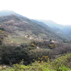 Квартира в Сан-Ремо, фото 4